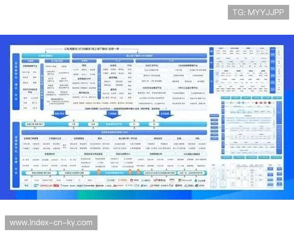 从通用化平台向垂直化服务转型 满足深度拥趸需求